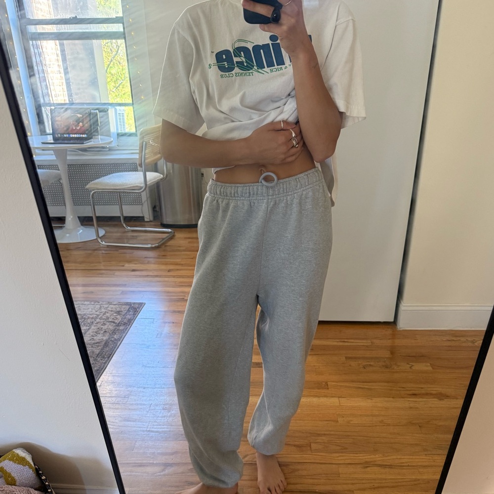 Aritzia Cozy Fleece Sweatpants in Light Gray